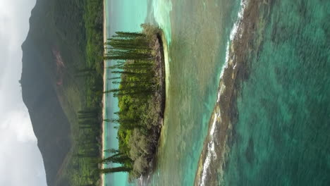 aerial: isla de los pinos isla tropical en el océano pacífico, nueva caledonia