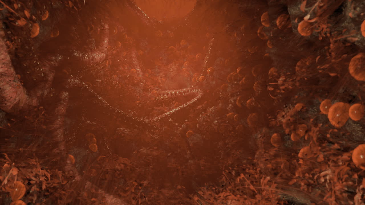 Underwater exploration reveals a mysterious red cave with marine life