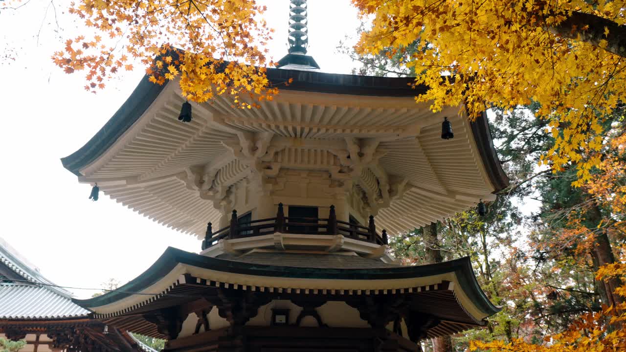 A cinematic view of the iconic Danjo Garan temple complex in Mount Koya (Koyasan), Japan.