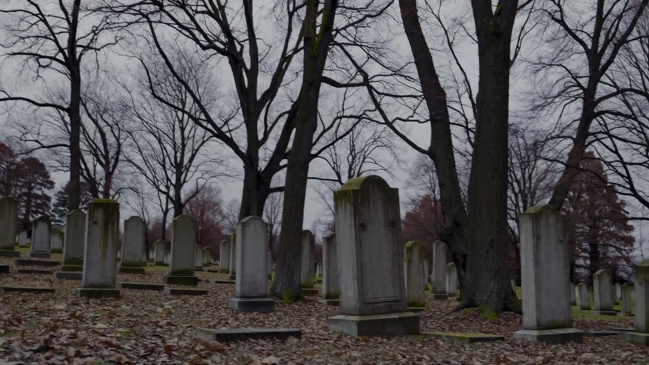 A somber video scene of an old cemetery with tombstones and leafless trees, captured from a low