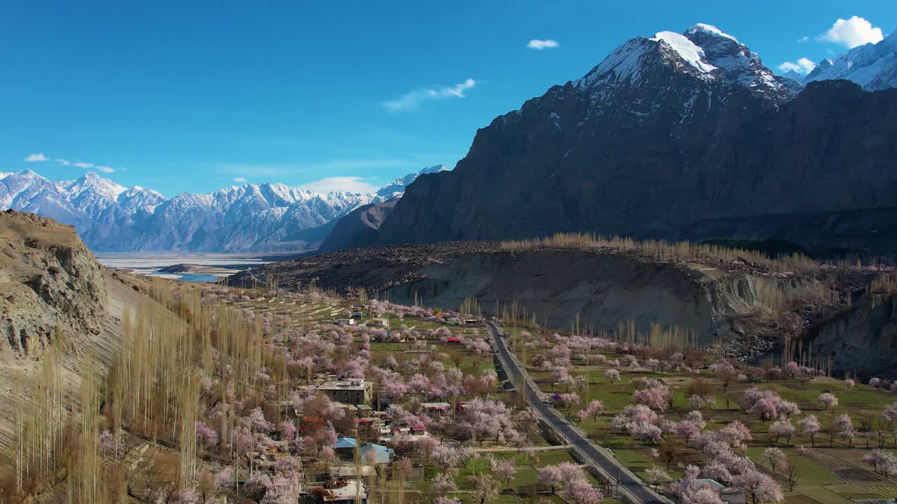 vista aérea árboles de cerezas en flor en el fondo del valle en skardu con montañas cubiertas de nieve en el fondo lejano