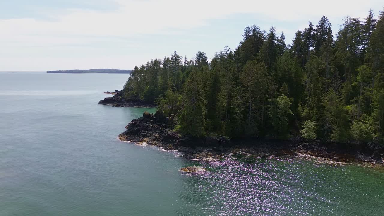 el bosque costero de la isla de moresby drone orbital secret cove, sandspit, bc, canadá