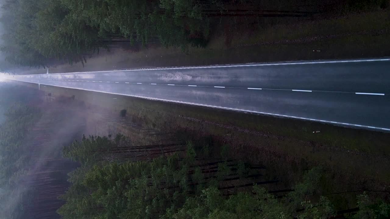 disparo de descenso vertical aéreo sobre el camino de asfalto en el bosque brumoso con niebla - horror, concepto de paisaje oscuro