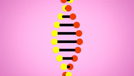 animación de una cadena de adn que gira sobre un documento quemado sobre un fondo rosado