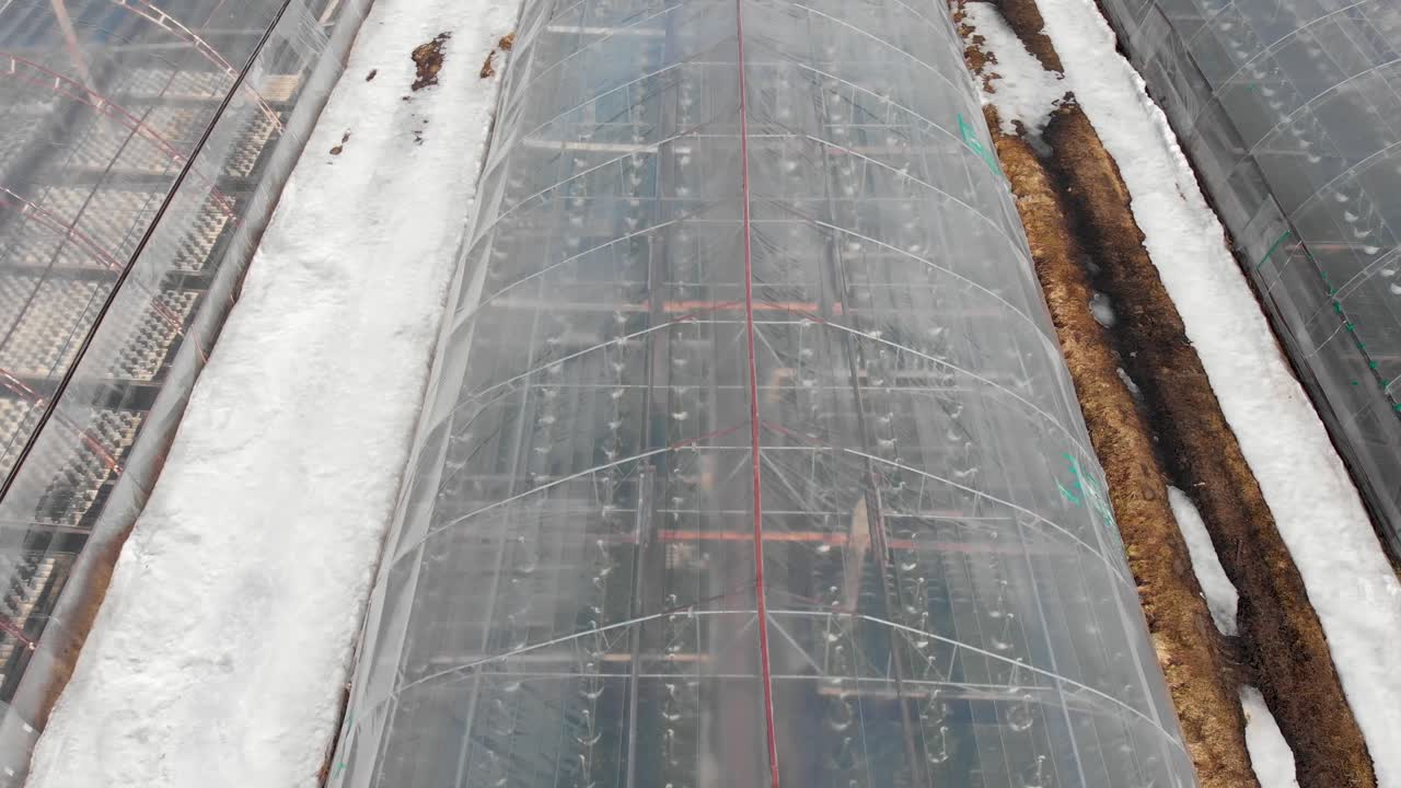 스웨덴의 눈으로 둘러싸인 크고 깨끗한 식물 종묘장 - 공중 오버헤드 비행 샷