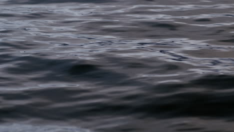 ondas lentas y ondulaciones en la superficie del mar en una luz suave