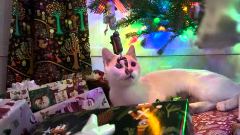 gatito cansado descansa bajo el árbol de navidad