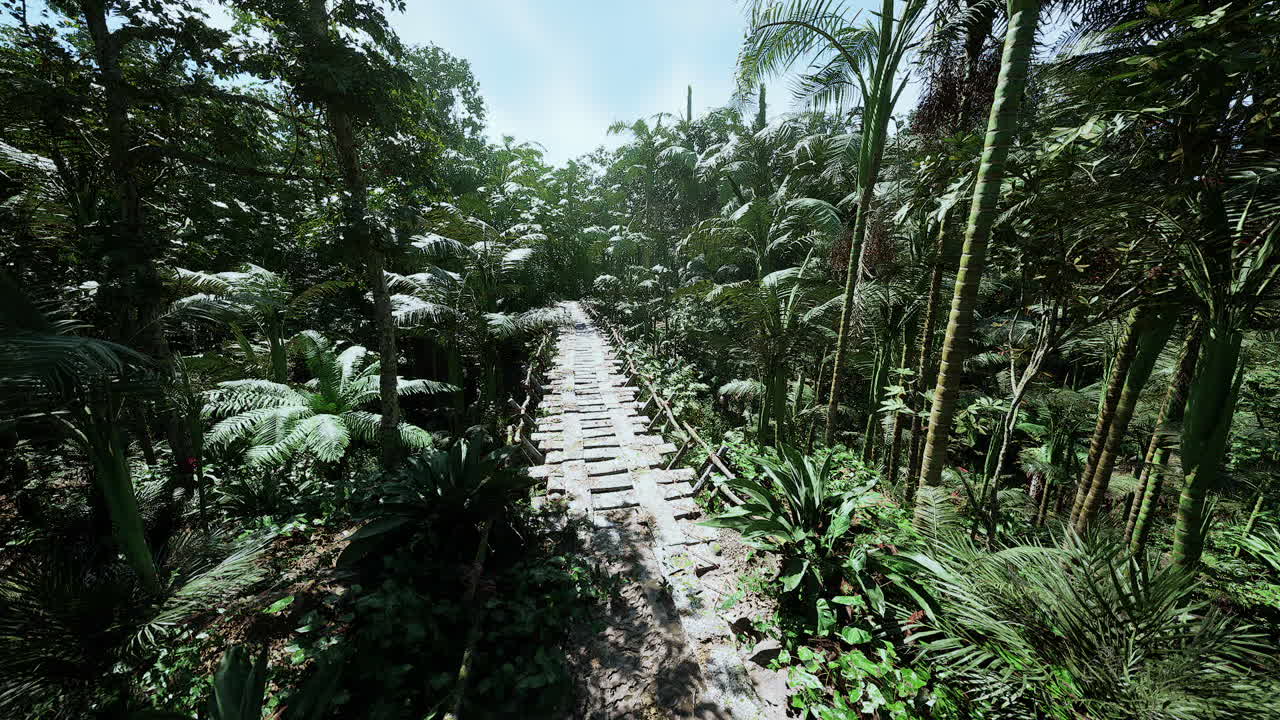 Trekking along a stone path through the dense bolivian rainforest