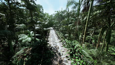 trekking along a stone path through the dense bolivian rainforest