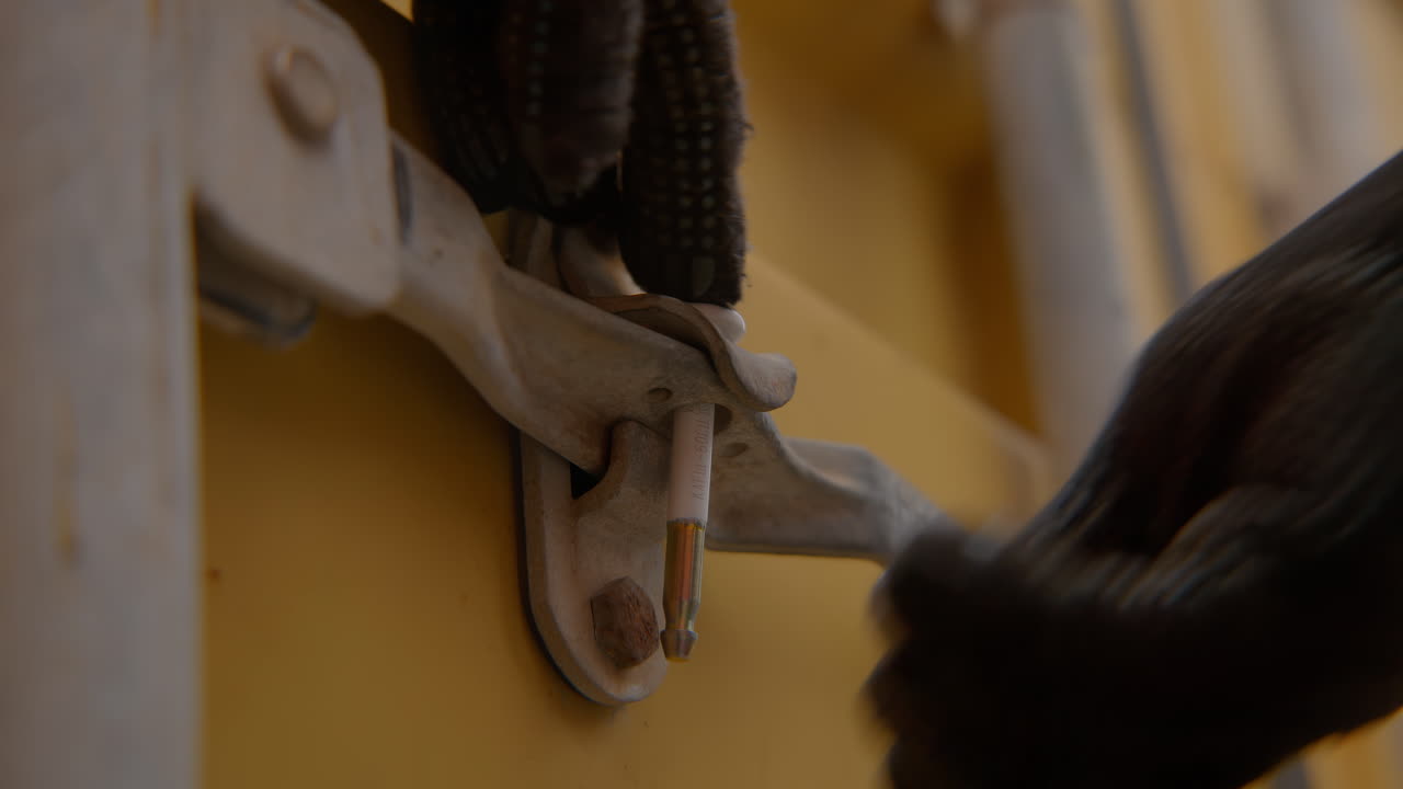 fijación de un contenedor de carga