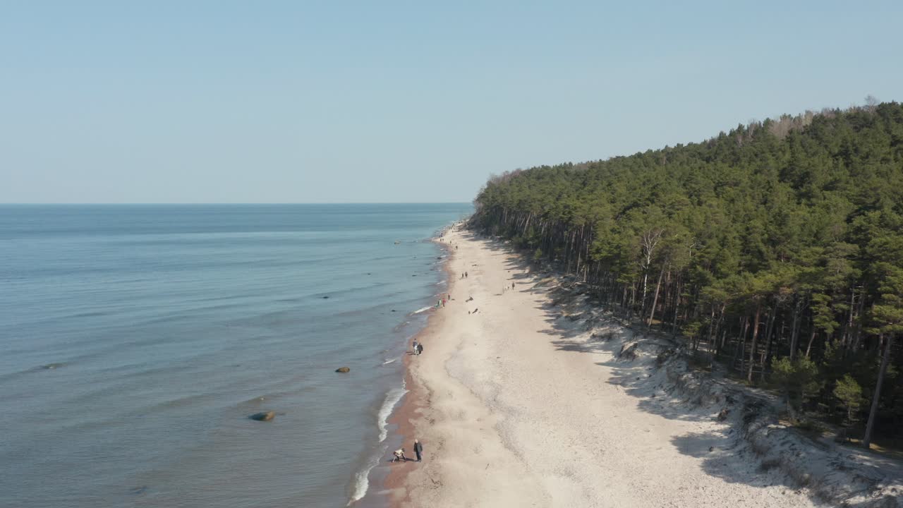 antena: gente disfrutando de un día soleado en una playa de arena cerca de un bosque de pinos en klaipeda