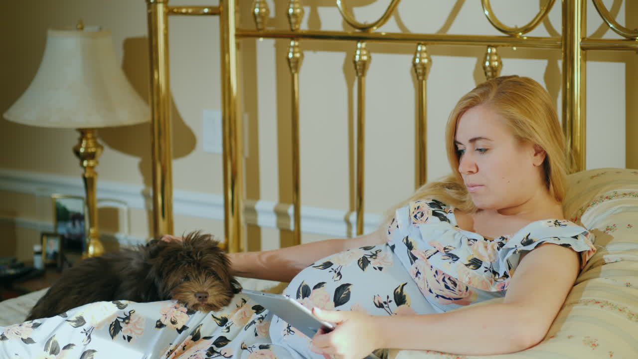 임신한 여성이 침실에서 태블릿을 사용하고 있습니다. 그녀의 개는 그녀 옆에 놓여 있습니다.