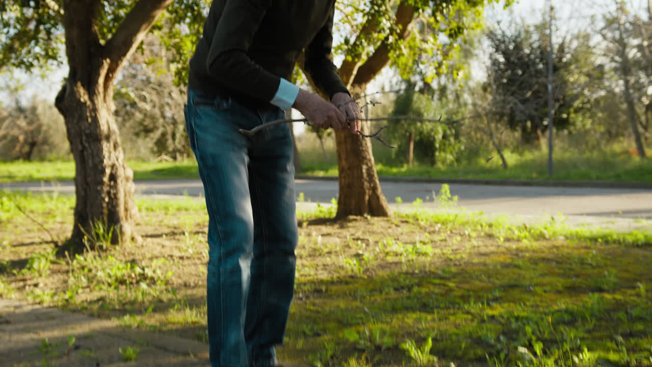 Man Cleans the Path in the Park by Picking Up Fallen Branches