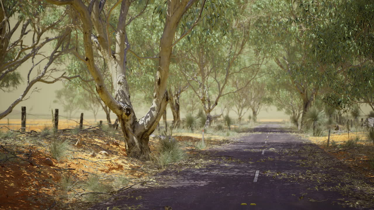 Scenic dirt road surrounded by lush trees in a tranquil rural area