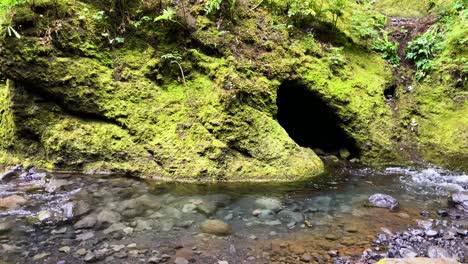 Nauthúsafoss-rushing-river-flowing-into-moss-covered-rocky-Icelandic-cave-hollow