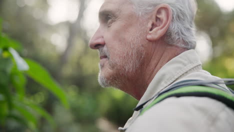 senior man eating leaf in a garden