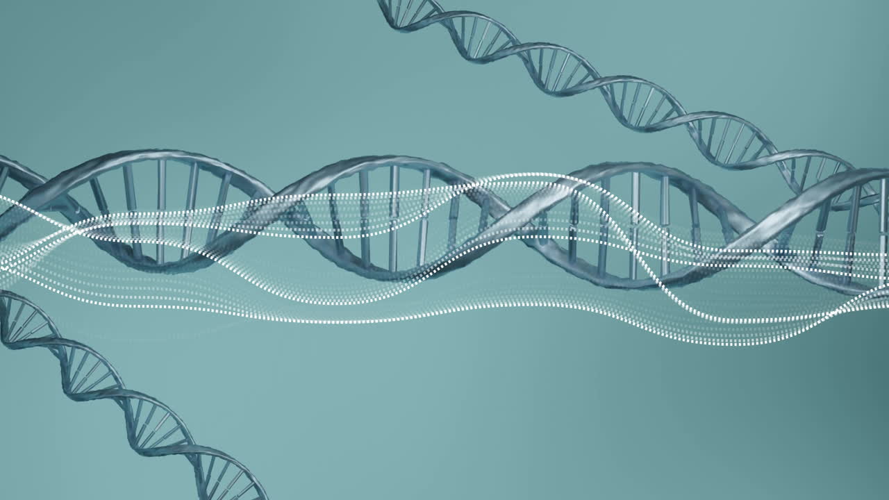 Animation of diagrams over dna strands