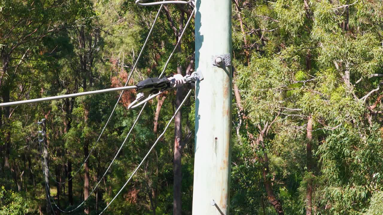 Aerial view of an electrical pole amidst dense trees, highlighting wires and natural surroundings in bright daylight