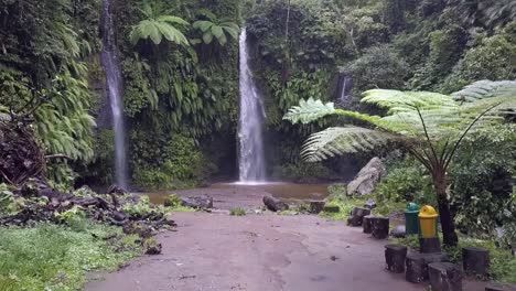 slow motion big fern plant in jungle