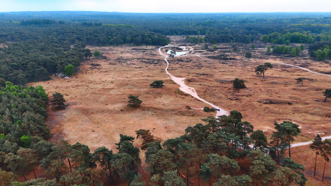Dutch nature enchants with expanses. Expansive view of Netherlands terrain showcasing a blend of dry land, trails, and forested areas under a cloudy sky