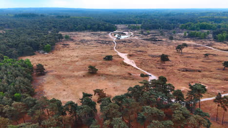 dutch nature enchants with expanses. expansive view of netherlands terrain showcasing a blend of dry land, trails, and forested areas under a cloudy sky