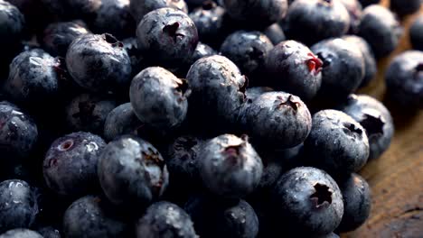 freshly picked blueberries