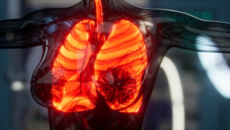 examen radiológico de pulmones humanos en laboratorio