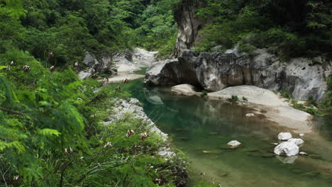 los charcos de nizao - nizao river surrounded with green vegetation in the forest in dominican republic