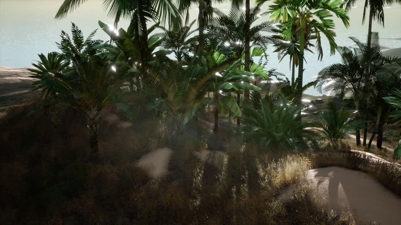 Sunset Beams through Palm Trees