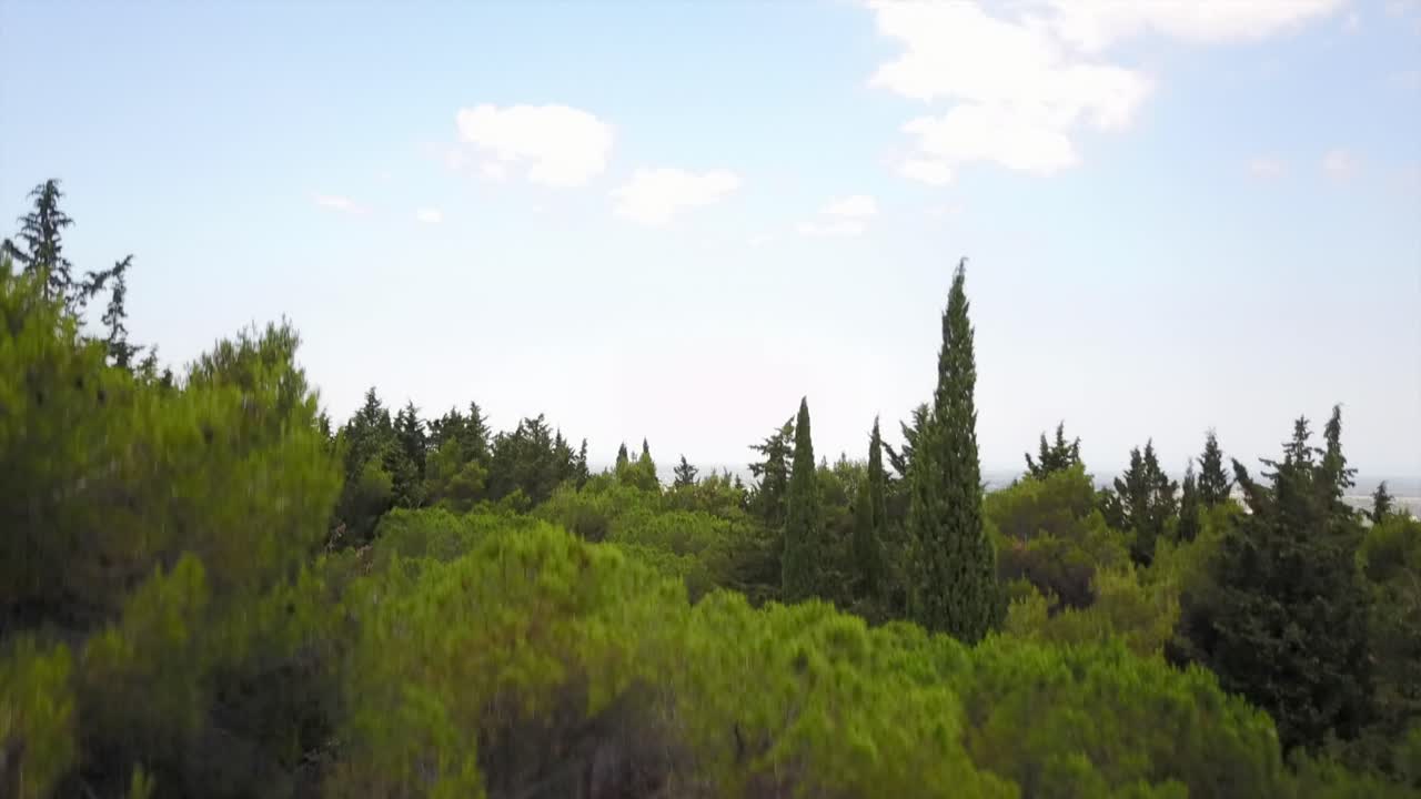 Forest on a small mount with tight trees in the south of Italy. mavic drone reveals the horizon.