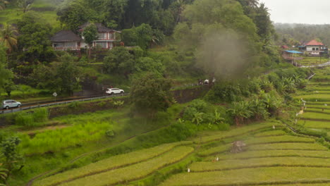 Cars-driving-on-the-mountain-road-past-farm-rice-fields-in-Bali.-Aerial-view-of-vehicles-driving-on-the-road-near-tropical-rainforest-and-rural-rice-paddy-fields