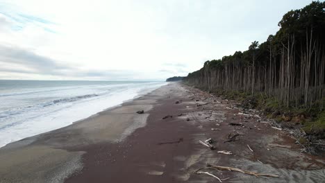 Shoreline Of Maori Beach With Driftwood In West Coast, South Island, New Zealand. - aerial shot