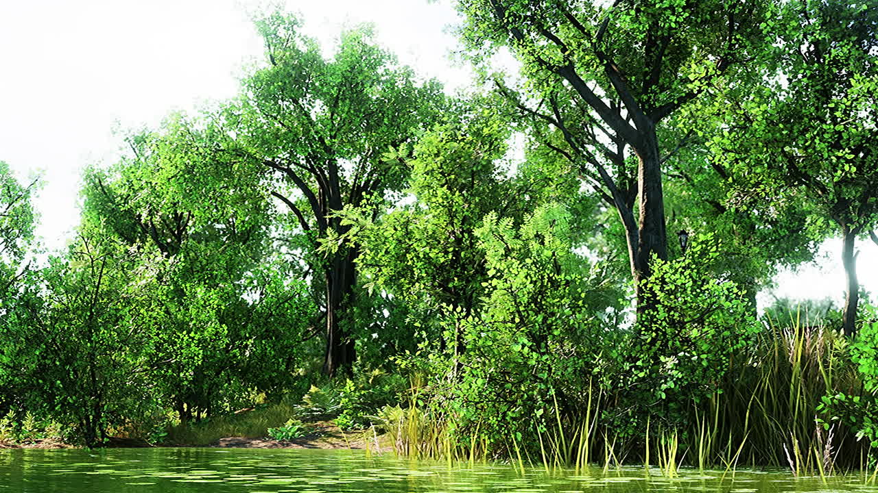 공원에서 아름다운 경치