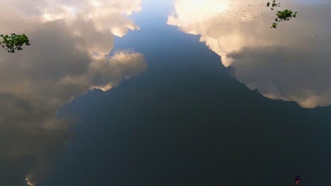 sky reflected on gently flowing water with plants in it