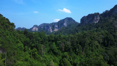 dense tropical rainforest covering steep limestone mountains in thailand. lovely aerial view flight overflight flyover drone