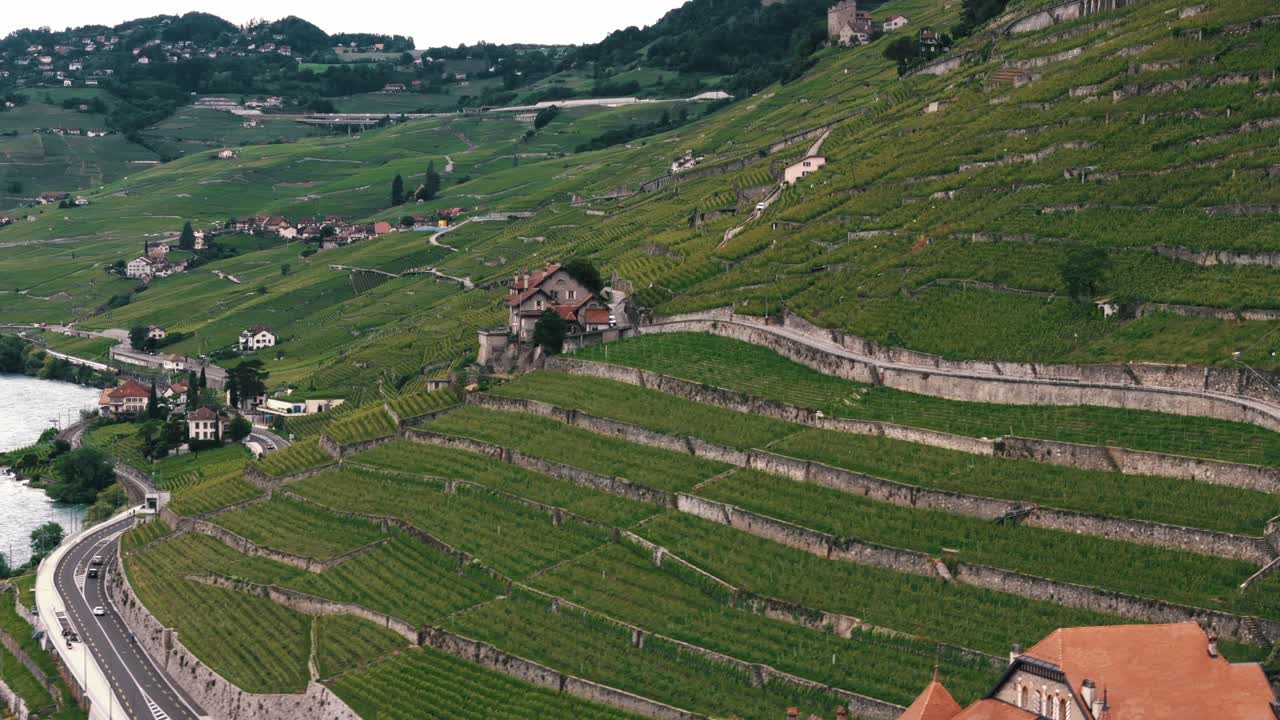 Inquadratura panoramica di vigneti e del Lago di Ginevra vicino a Losanna