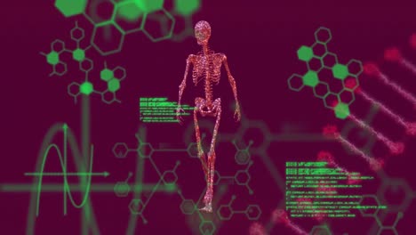 animation of chemical formulas and data processing over dna chain and moving human body