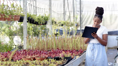 african american woman inspecting plants in greenhouse, taking notes on clipboard, copy space