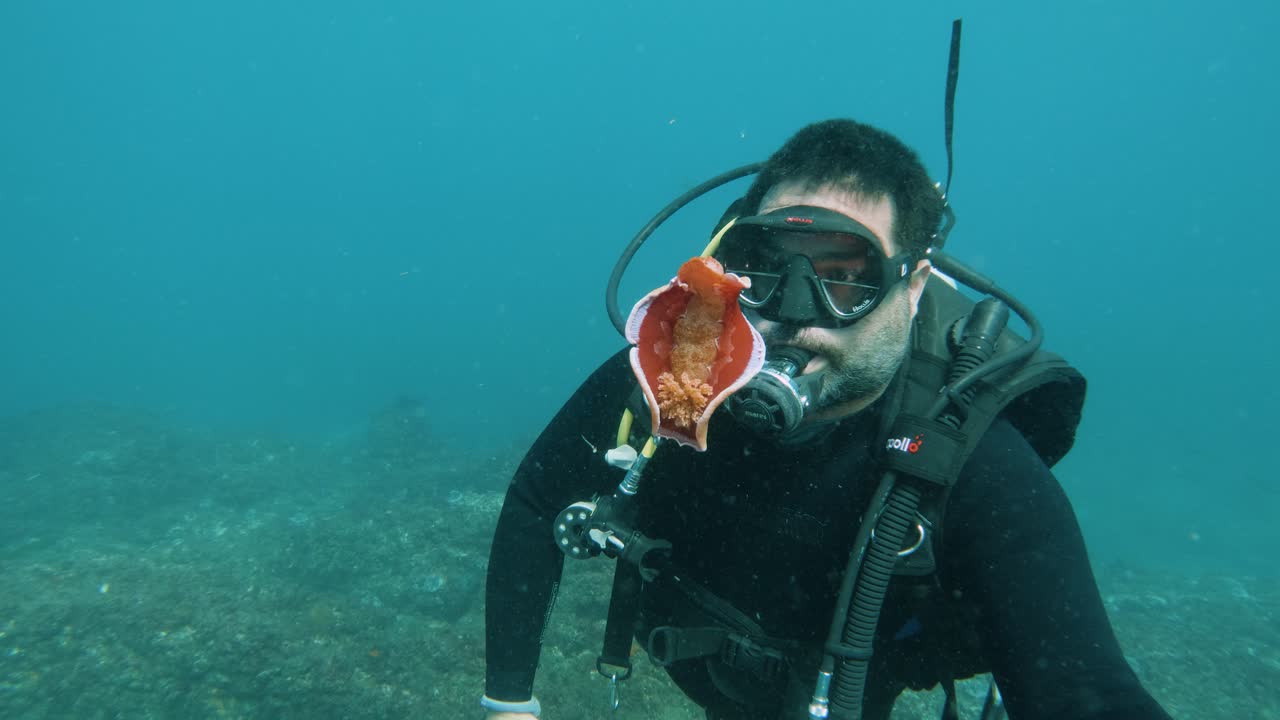 A marine citizen scientist observing a flamboyant colourful sea slug marine creature swimming deep below the ocean surface. Underwater view