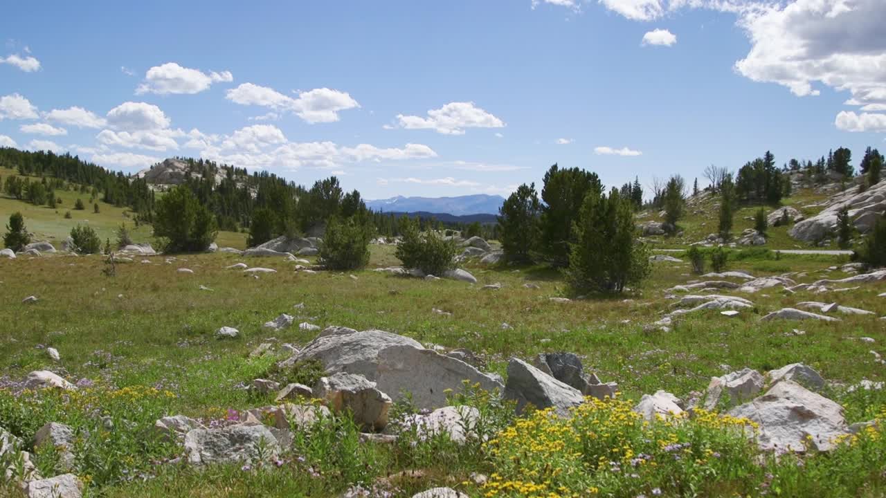 hermoso paisaje soleado del parque nacional