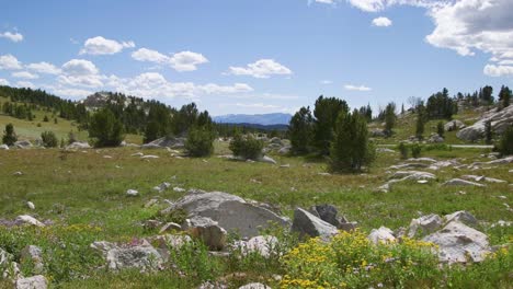 beautiful sunny national park landscape