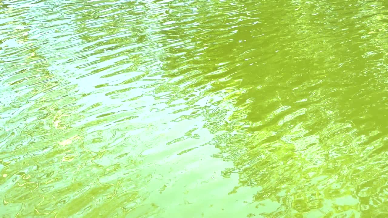 나무와 하늘을 반영하는 평온한 물