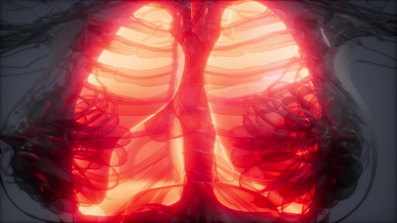 examen radiológico de los pulmones humanos