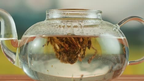 blooming tea infusing in a clear glass teapot