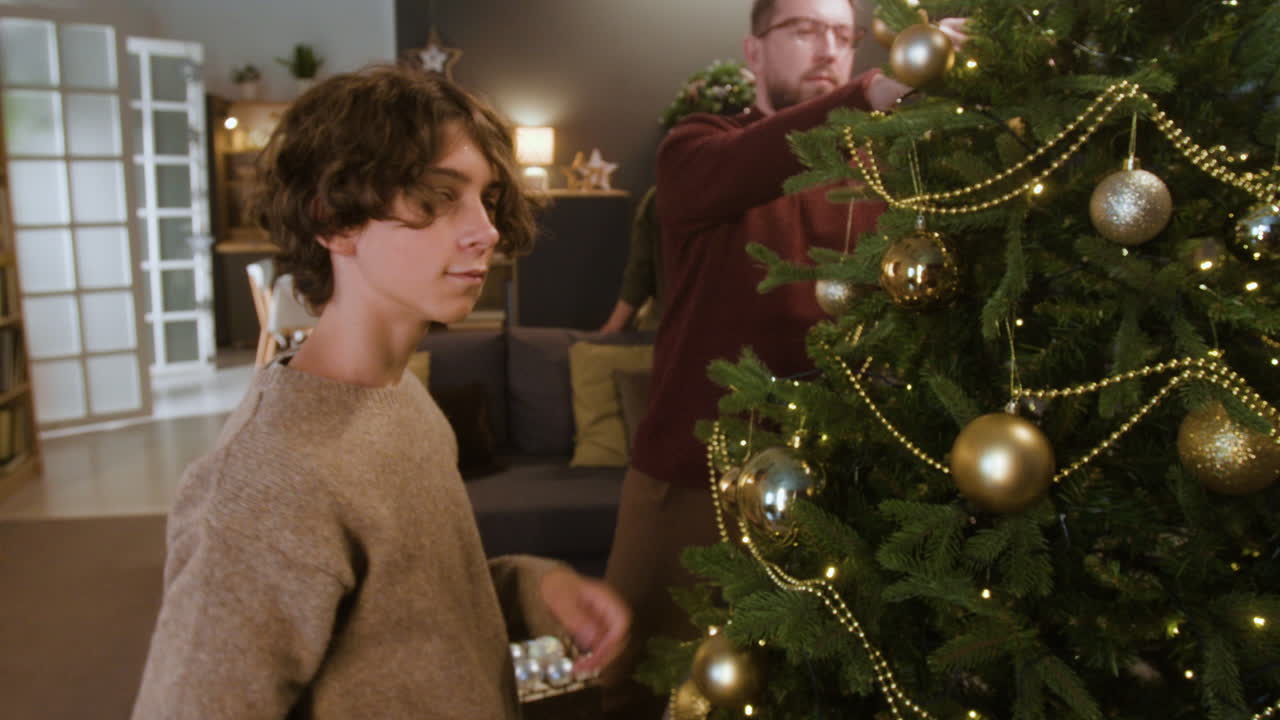 家庭裝飾聖誕樹