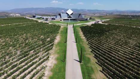 moderno almacén de bodega de vino y viñedo desde una vista aérea de avión no tripulado