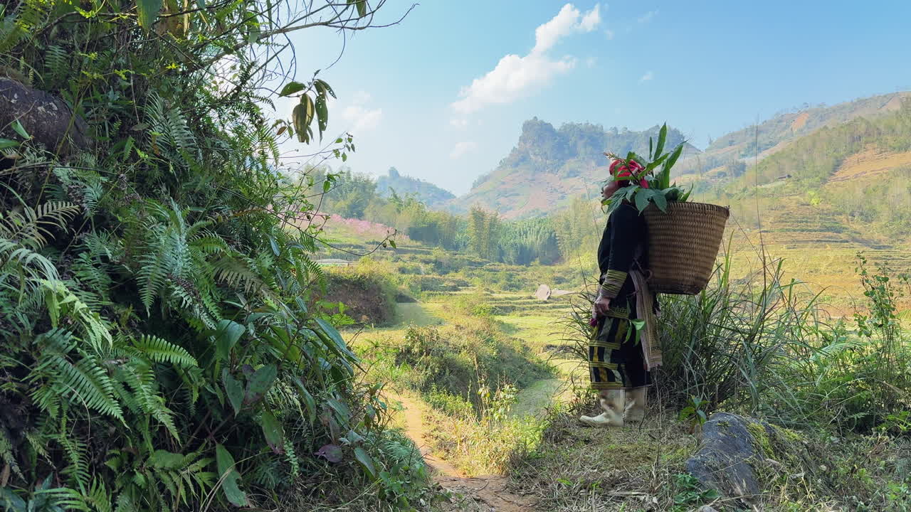 A landscape with mountains and fields featuring an Asian woman standing with a woven basket on her back.