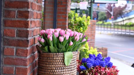 pink tulips in a basket