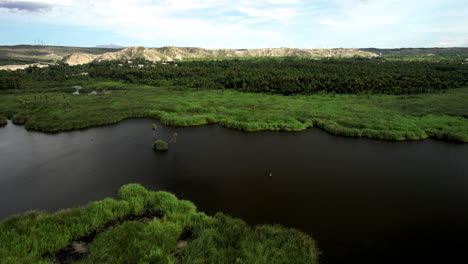 Disparo-Frontal-De-Drones-De-Un-Oasis-En-Baja-California-Sur-Cerca-De-Los-Cabos-México