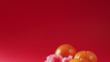 video of pink flowers and oranges on red background